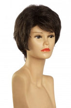 Lade das Bild in den Galerie-Viewer, Kurzhaarperücke (silber-schwarz) 162-34
